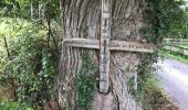 Trail Walking Flobecq - bois de la louviere Brakel 10,7 km - Photo 2