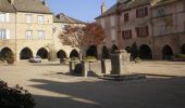 Tour Wandern Sauveterre-de-Rouergue - Sauveterre de Rouergue, au coeur du Ségala - Photo 6