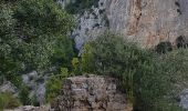 Tour Wandern Ollioules - Le Destel Grotte des joncs - Photo 7
