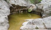 Randonnée Marche Ollioules - Le Destel Grotte des joncs - Photo 4
