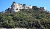 Trail Walking Vénéjan - De Vénéjan au Château de Gicon - Photo 2