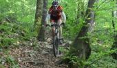 Trail Mountain bike Voiteur - Raid VTT Jura 2009 - Photo 3