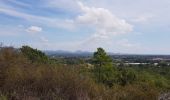 Excursión Marcha nórdica Roquebrune-sur-Argens - Roquebrune - Photo 2