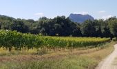 Randonnée Marche nordique Roquebrune-sur-Argens - Roquebrune - Photo 1