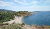 Trail Walking Argelès-sur-Mer - Argelès-Le Racou - Collioure - 14km 262m 4h07 (40mn) - 2018 09 02 - Photo 19