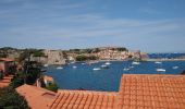 Percorso Marcia Argelès-sur-Mer - Argelès-Le Racou - Collioure - 14km 262m 4h07 (40mn) - 2018 09 02 - Photo 9