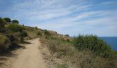 Trail Walking Argelès-sur-Mer - Argelès-Le Racou - Collioure - 14km 262m 4h07 (40mn) - 2018 09 02 - Photo 8