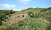 Tour Wandern Port-Vendres - Port-Vendres - Cap Béar-Paulilles - 11.7km 340m 4h00 (30mn) - 2018 09 03 - Photo 20