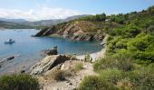 Trail Walking Port-Vendres - Port-Vendres - Cap Béar-Paulilles - 11.7km 340m 4h00 (30mn) - 2018 09 03 - Photo 19