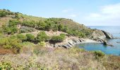 Percorso Marcia Port-Vendres - Port-Vendres - Cap Béar-Paulilles - 11.7km 340m 4h00 (30mn) - 2018 09 03 - Photo 18