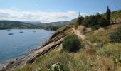 Trail Walking Port-Vendres - Port-Vendres - Cap Béar-Paulilles - 11.7km 340m 4h00 (30mn) - 2018 09 03 - Photo 17