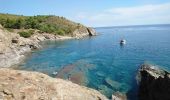 Tour Wandern Port-Vendres - Port-Vendres - Cap Béar-Paulilles - 11.7km 340m 4h00 (30mn) - 2018 09 03 - Photo 16