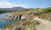 Tocht Stappen Port-Vendres - Port-Vendres - Cap Béar-Paulilles - 11.7km 340m 4h00 (30mn) - 2018 09 03 - Photo 15