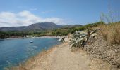 Trail Walking Port-Vendres - Port-Vendres - Cap Béar-Paulilles - 11.7km 340m 4h00 (30mn) - 2018 09 03 - Photo 14