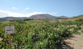 Tocht Stappen Port-Vendres - Port-Vendres - Cap Béar-Paulilles - 11.7km 340m 4h00 (30mn) - 2018 09 03 - Photo 13