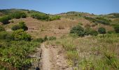 Tour Wandern Port-Vendres - Port-Vendres - Cap Béar-Paulilles - 11.7km 340m 4h00 (30mn) - 2018 09 03 - Photo 11