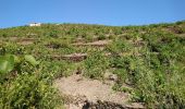 Tocht Stappen Port-Vendres - Port-Vendres - Cap Béar-Paulilles - 11.7km 340m 4h00 (30mn) - 2018 09 03 - Photo 9