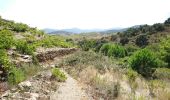 Trail Walking Port-Vendres - Port-Vendres - Cap Béar-Paulilles - 11.7km 340m 4h00 (30mn) - 2018 09 03 - Photo 8