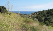 Tour Wandern Port-Vendres - Port-Vendres - Cap Béar-Paulilles - 11.7km 340m 4h00 (30mn) - 2018 09 03 - Photo 6