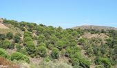 Tour Wandern Port-Vendres - Port-Vendres - Cap Béar-Paulilles - 11.7km 340m 4h00 (30mn) - 2018 09 03 - Photo 5