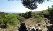 Tour Wandern Port-Vendres - Port-Vendres - Cap Béar-Paulilles - 11.7km 340m 4h00 (30mn) - 2018 09 03 - Photo 4