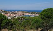 Tocht Stappen Port-Vendres - Port-Vendres - Cap Béar-Paulilles - 11.7km 340m 4h00 (30mn) - 2018 09 03 - Photo 3