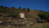 Tour Wandern Port-Vendres - Port-Vendres - Cap Béar-Paulilles - 11.7km 340m 4h00 (30mn) - 2018 09 03 - Photo 2