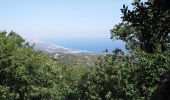 Trail Walking Argelès-sur-Mer - Argelès - La Tour de la Massane - 18.1km 875m 5h40 (40mn) - 2018 09 04 - Photo 20