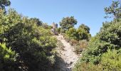 Trail Walking Argelès-sur-Mer - Argelès - La Tour de la Massane - 18.1km 875m 5h40 (40mn) - 2018 09 04 - Photo 18