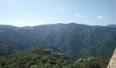 Tour Wandern Argelès-sur-Mer - Argelès - La Tour de la Massane - 18.1km 875m 5h40 (40mn) - 2018 09 04 - Photo 15