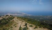 Tour Wandern Argelès-sur-Mer - Argelès - La Tour de la Massane - 18.1km 875m 5h40 (40mn) - 2018 09 04 - Photo 13