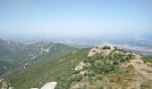 Trail Walking Argelès-sur-Mer - Argelès - La Tour de la Massane - 18.1km 875m 5h40 (40mn) - 2018 09 04 - Photo 12