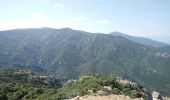 Trail Walking Argelès-sur-Mer - Argelès - La Tour de la Massane - 18.1km 875m 5h40 (40mn) - 2018 09 04 - Photo 11