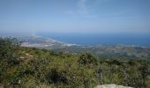 Tour Wandern Argelès-sur-Mer - Argelès - La Tour de la Massane - 18.1km 875m 5h40 (40mn) - 2018 09 04 - Photo 10