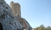 Trail Walking Argelès-sur-Mer - Argelès - La Tour de la Massane - 18.1km 875m 5h40 (40mn) - 2018 09 04 - Photo 9