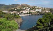 Excursión Senderismo Cerbère - Cerbère - Cap Cerbère - Plage de Peyrefite - 12.9km 510m 4h10 (40mn) - 2018 09 06 - Photo 20