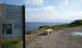 Randonnée Marche Cerbère - Cerbère - Cap Cerbère - Plage de Peyrefite - 12.9km 440m 4h10 (40mn) - 2018 09 06 - Photo 19