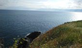 Tour Wandern Cerbère - Cerbère - Cap Cerbère - Plage de Peyrefite - 12.9km 510m 4h10 (40mn) - 2018 09 06 - Photo 18