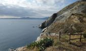 Tour Wandern Cerbère - Cerbère - Cap Cerbère - Plage de Peyrefite - 12.9km 510m 4h10 (40mn) - 2018 09 06 - Photo 16