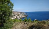 Tour Wandern Cerbère - Cerbère - Cap Cerbère - Plage de Peyrefite - 12.9km 510m 4h10 (40mn) - 2018 09 06 - Photo 15