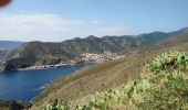 Excursión Senderismo Cerbère - Cerbère - Cap Cerbère - Plage de Peyrefite - 12.9km 510m 4h10 (40mn) - 2018 09 06 - Photo 14