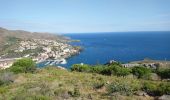 Trail Walking Cerbère - Cerbère - Cap Cerbère - Plage de Peyrefite - 12.9km 510m 4h10 (40mn) - 2018 09 06 - Photo 12