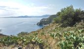 Tour Wandern Cerbère - Cerbère - Cap Cerbère - Plage de Peyrefite - 12.9km 510m 4h10 (40mn) - 2018 09 06 - Photo 11