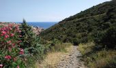 Tour Wandern Cerbère - Cerbère - Cap Cerbère - Plage de Peyrefite - 12.9km 510m 4h10 (40mn) - 2018 09 06 - Photo 9