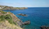 Tour Wandern Cerbère - Cerbère - Cap Cerbère - Plage de Peyrefite - 12.9km 510m 4h10 (40mn) - 2018 09 06 - Photo 7