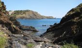 Excursión Senderismo Cerbère - Cerbère - Cap Cerbère - Plage de Peyrefite - 12.9km 510m 4h10 (40mn) - 2018 09 06 - Photo 6