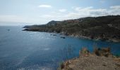 Trail Walking Cerbère - Cerbère - Cap Cerbère - Plage de Peyrefite - 12.9km 510m 4h10 (40mn) - 2018 09 06 - Photo 5