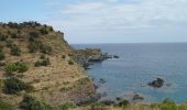 Tour Wandern Cerbère - Cerbère - Cap Cerbère - Plage de Peyrefite - 12.9km 510m 4h10 (40mn) - 2018 09 06 - Photo 3