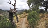 Trail Walking Banyuls-sur-Mer - Banyuls-sur-Mer - Tour de Madaloc - 13.5km 675m 4h15 (45m) - 2018 09 09 - Photo 10
