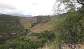 Tour Wandern Banyuls-sur-Mer - Banyuls-sur-Mer - Tour de Madaloc - 13.5km 675m 4h15 (45m) - 2018 09 09 - Photo 9